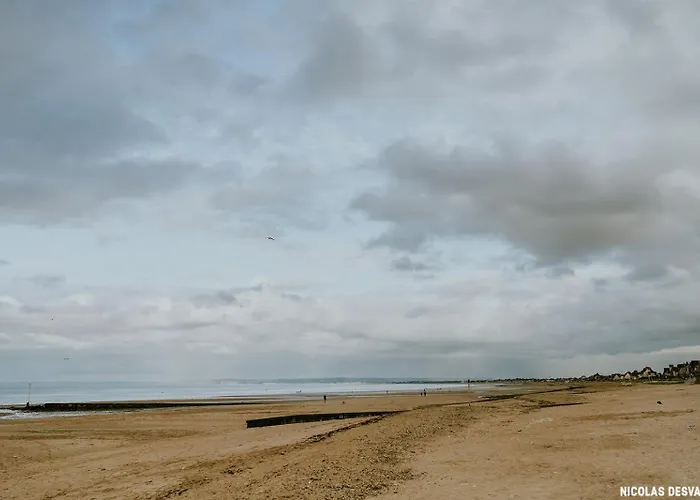 Petit Nid En Bord De Apartment Ouistreham